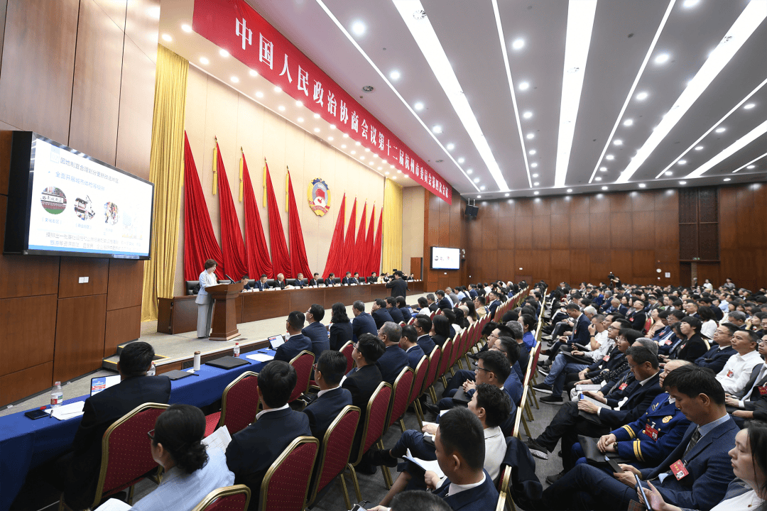 市政协十二届四次会议举行大会发言