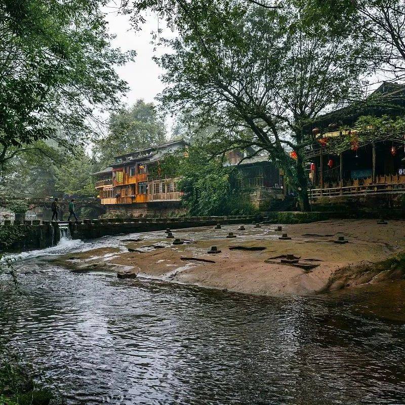 习作||河畔人家_芦苇丛_河水_珺扬