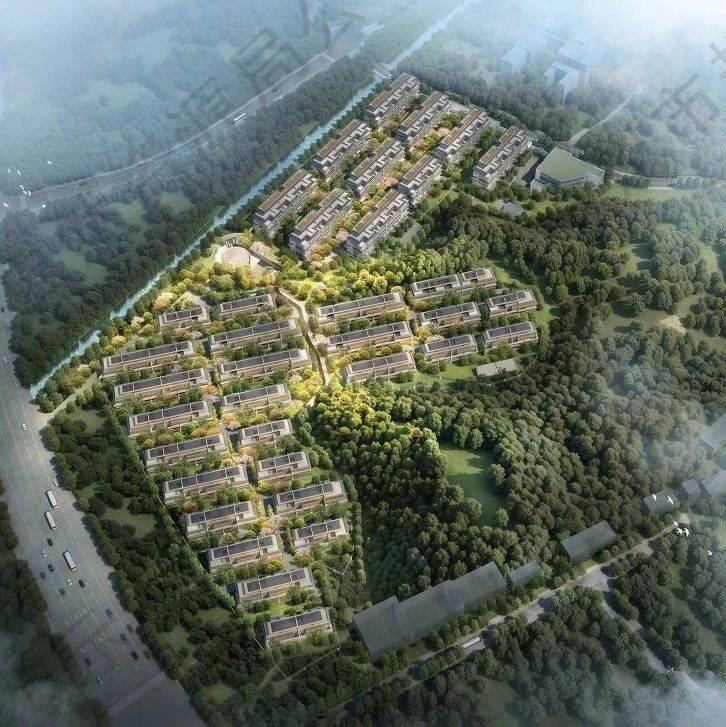 滨江集团萧山区湘湖新城住宅项目公示,规划26幢排屋、10幢叠墅_地块_监测_服务