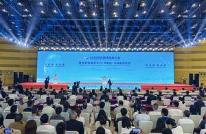 这场跨境电商大会，今日开幕！