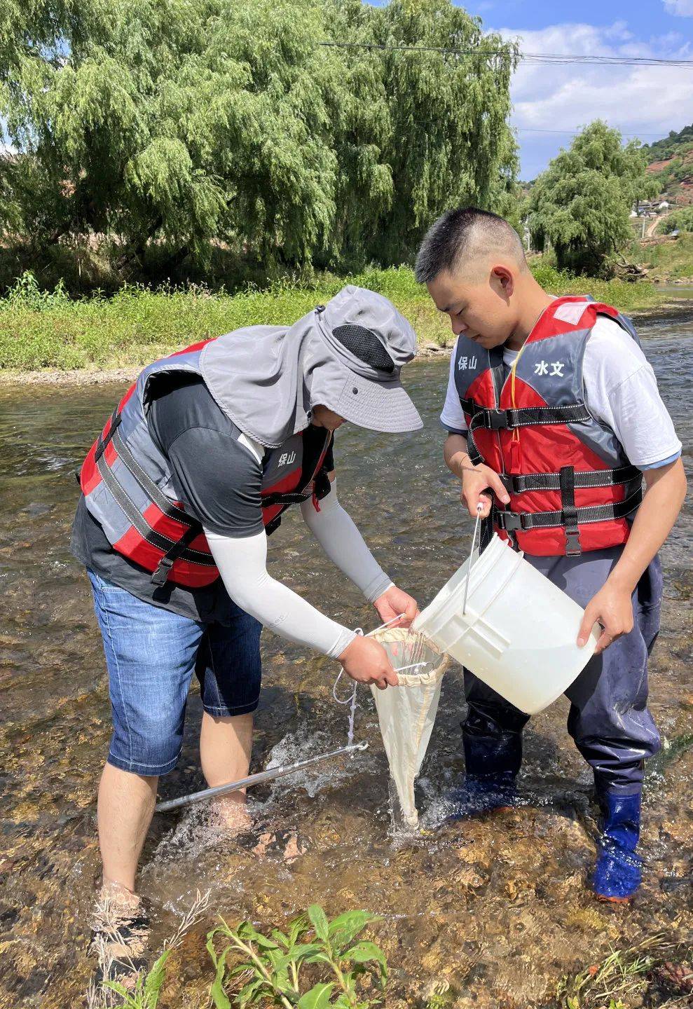 保山分局联合保山学院开展勐波罗河流域水生生物调查监测工作