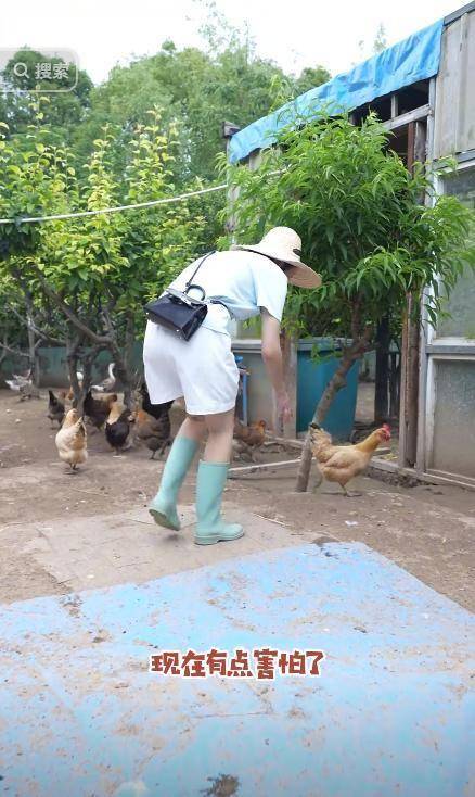 女演员王一楠在农村,穿千元雨靴追鸡鸭满院跑,50万爱马仕装鸭蛋