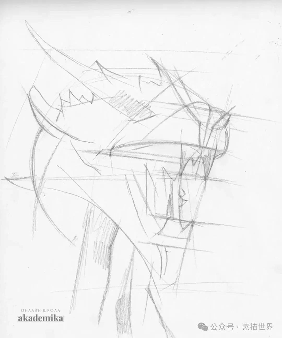 国外大神素描