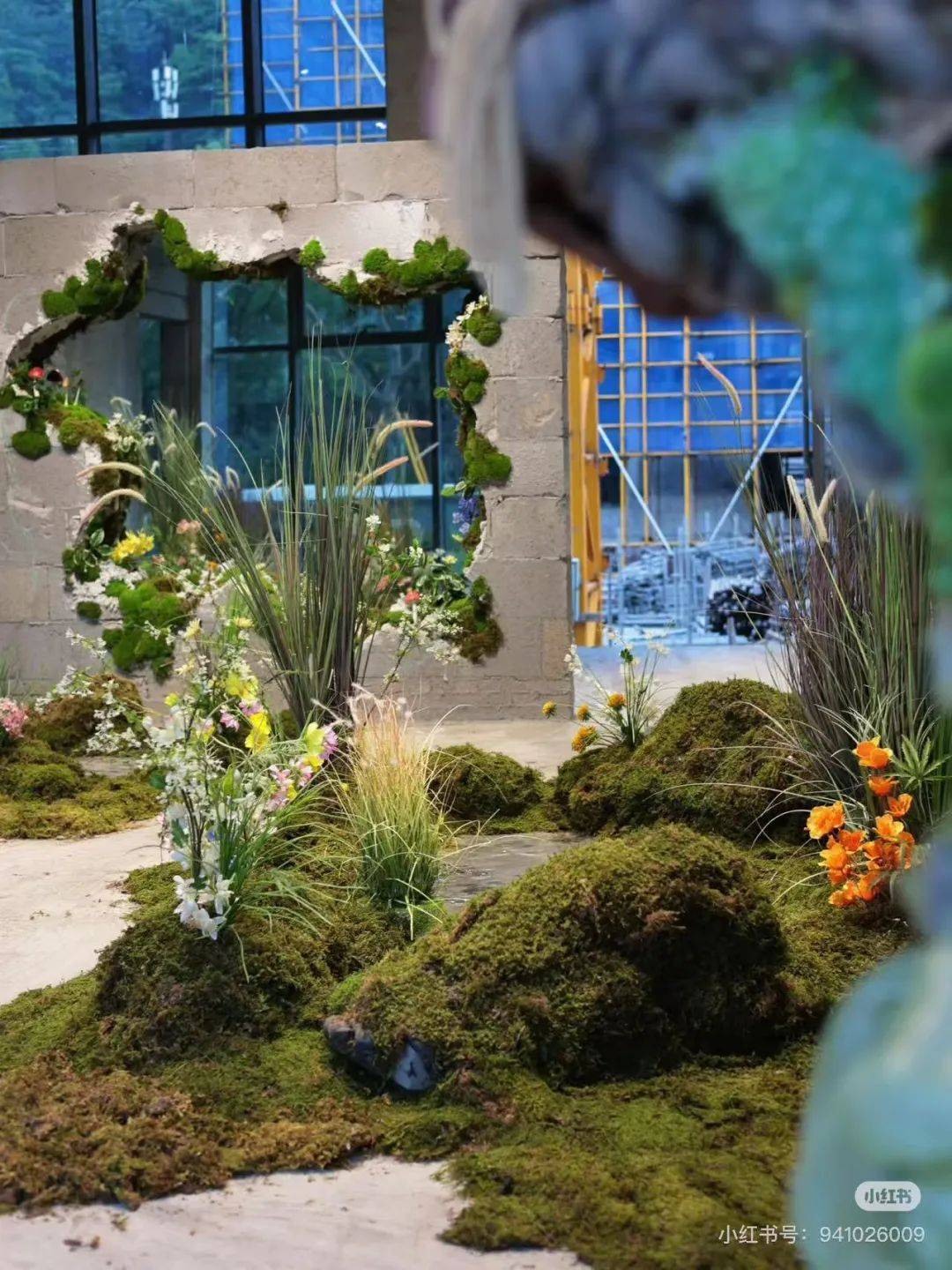 又一新地标!温州花鸟市场"变身",咖啡馆,艺术展全都有