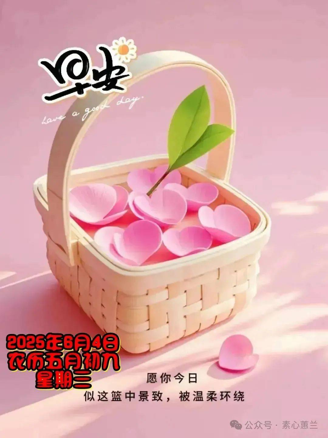 初心不负我下一句怎么接(初心不负我下一句怎么接的)