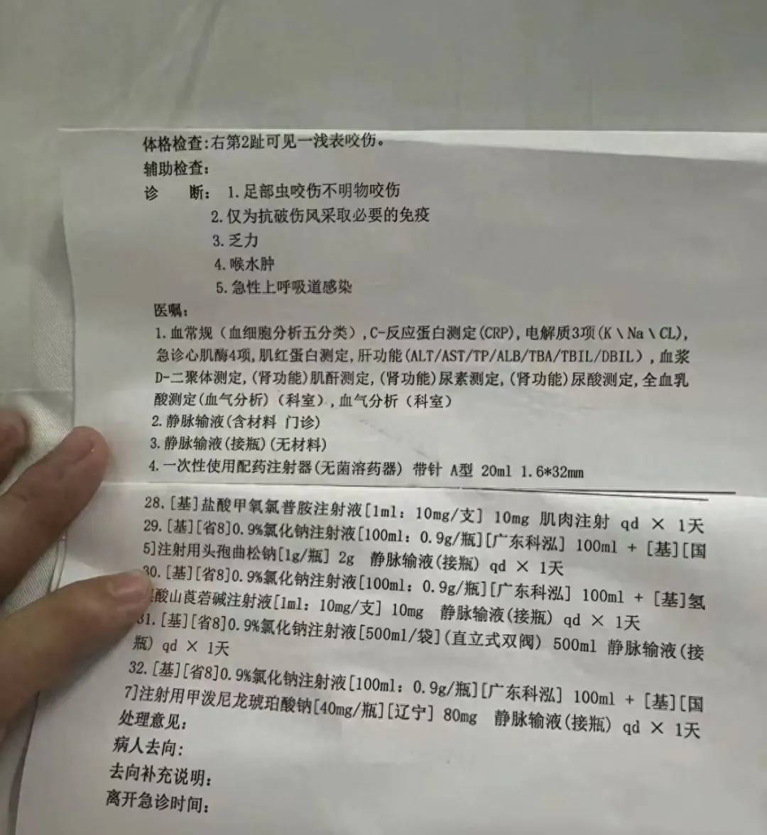 女子疑被蛇咬身亡事情发展：家族正在酒店拾掇逝者遗物
，称暂无处置成果
