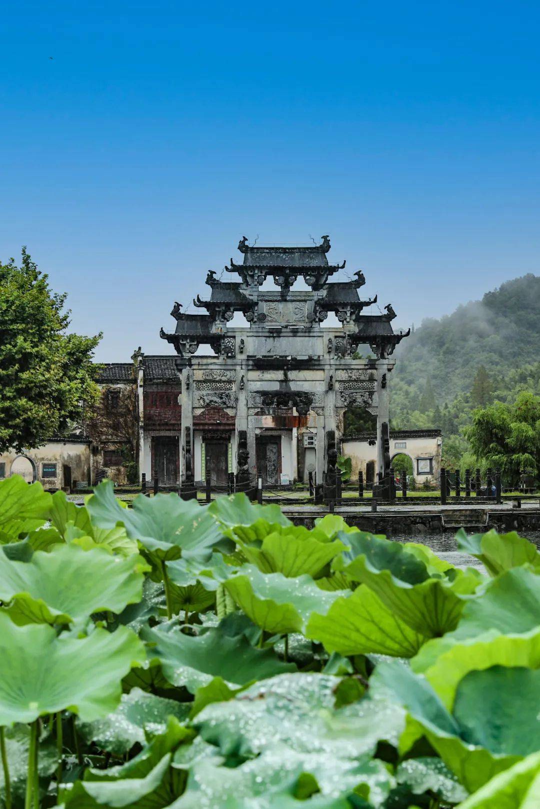 这个夏天,黟县十大景区免费游!#来黟县享清凉