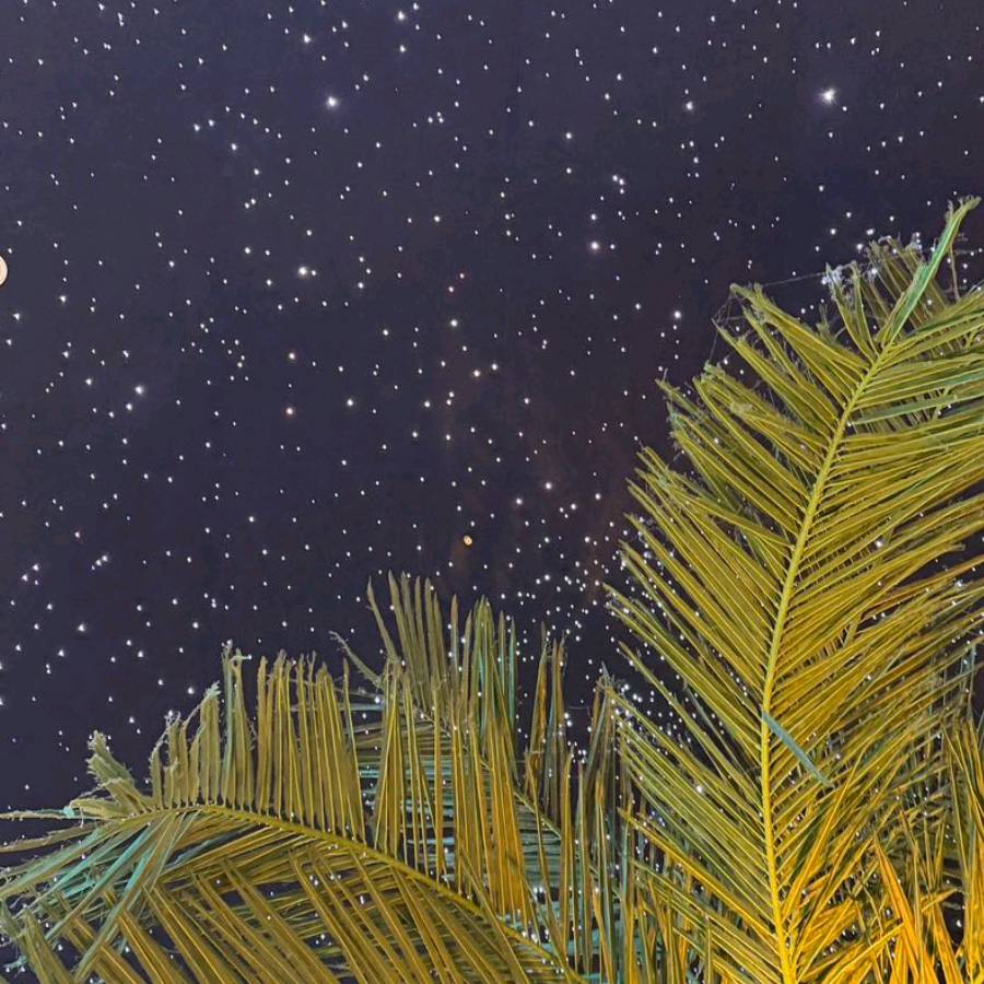 Python零基础入门：轻松搞定MySQL数据库操作，3分钟上手！_cursor_运行_email