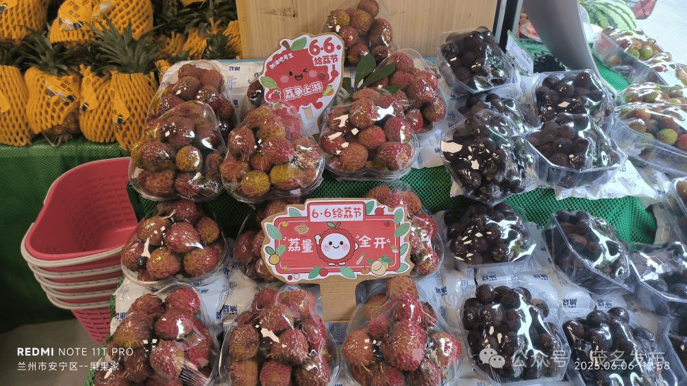 66给荔节火热开展，广东荔枝传递全国祝福