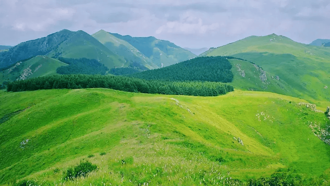 三人行户外特惠88元6月14日白谷查山天马草原太行山脉的明珠一日避暑