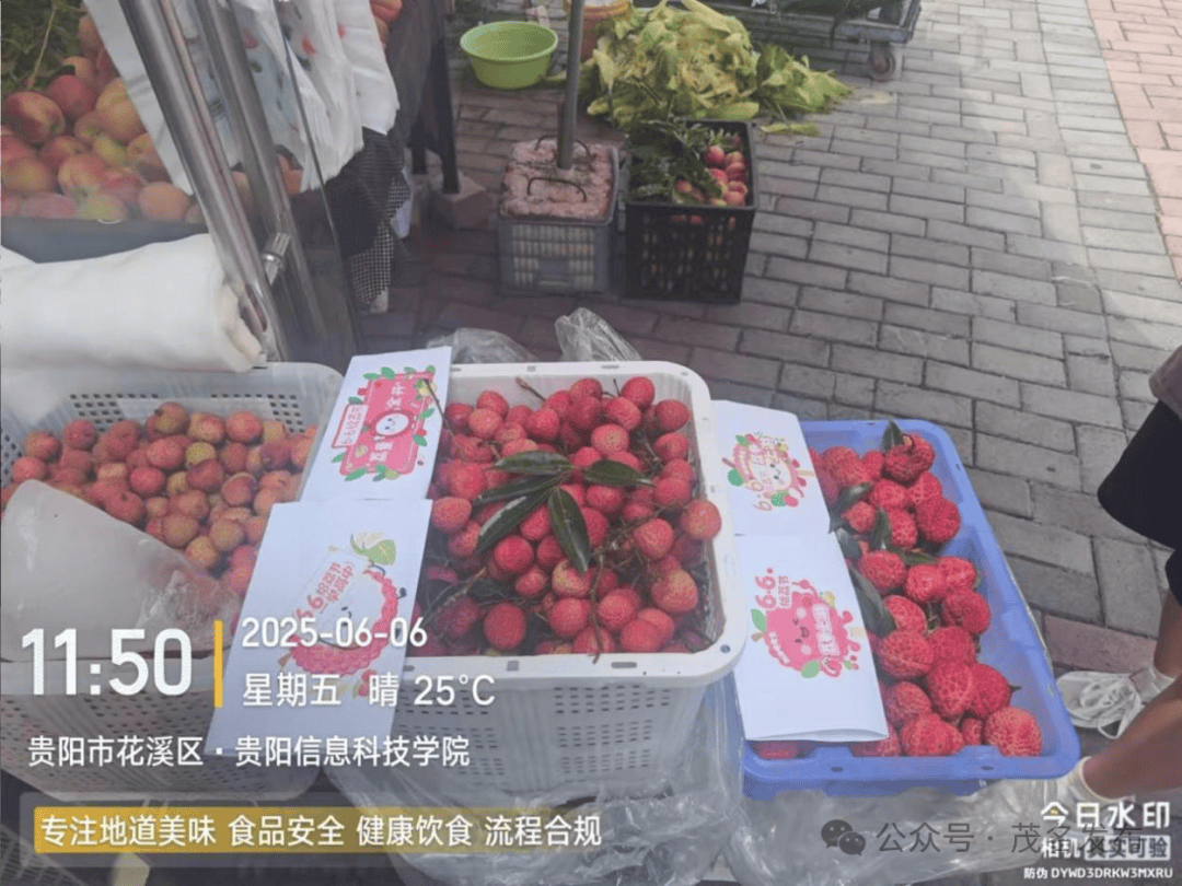 66给荔节火热开展，广东荔枝传递全国祝福