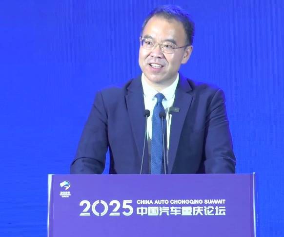 吉利·杨Xuelian：“内部”恶性竞争将使中国的车