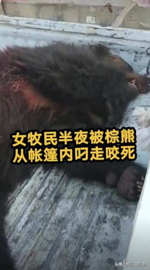 视频画面惨烈,知情人:脸都被吃掉了