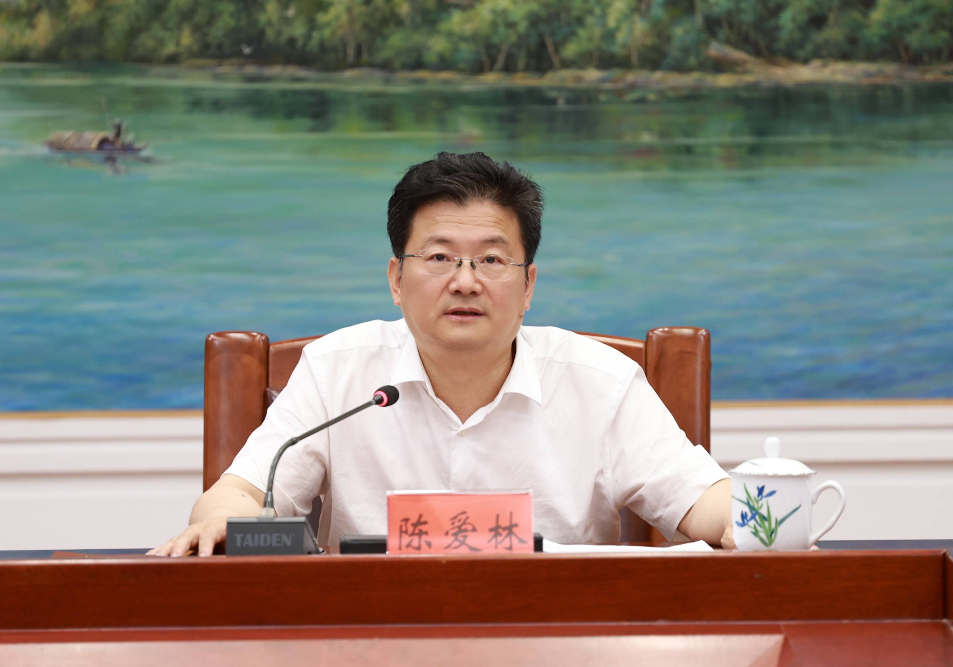 6月10日下午,市委副书记,市长陈爱林