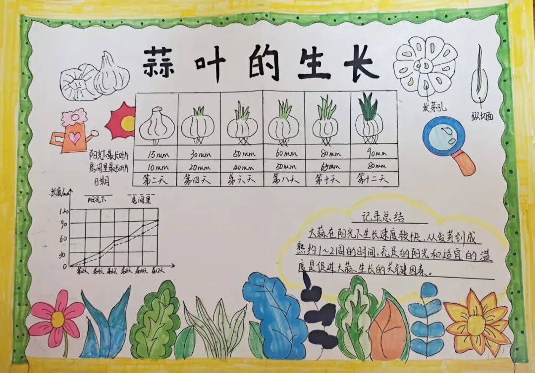 "蒜"你可爱 收获成长