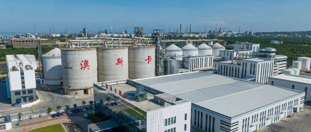 这4项政策“大礼包”，让儋州洋浦跨境贸易企业进一步降本增效！
