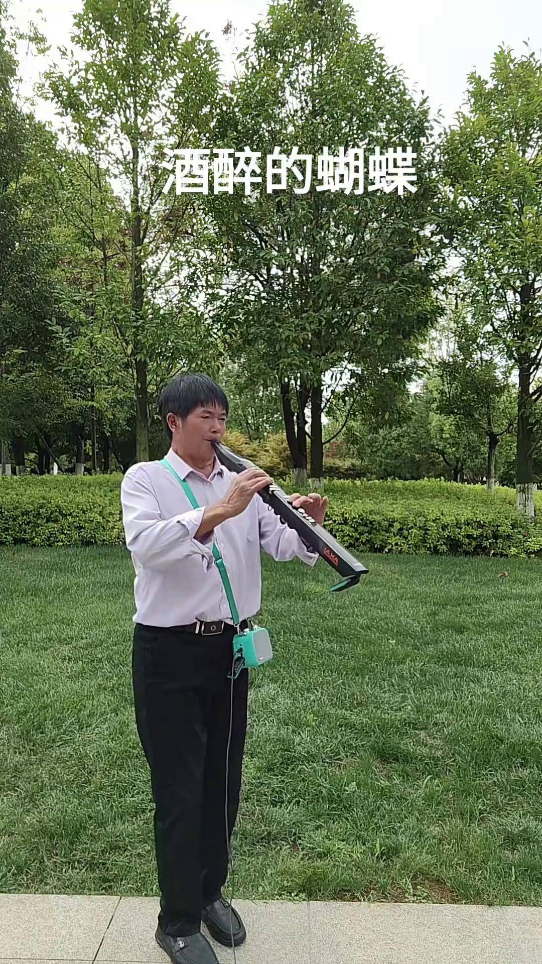 电吹管演奏 一曲《酒醉的蝴蝶》送给大家,希望你能够喜欢