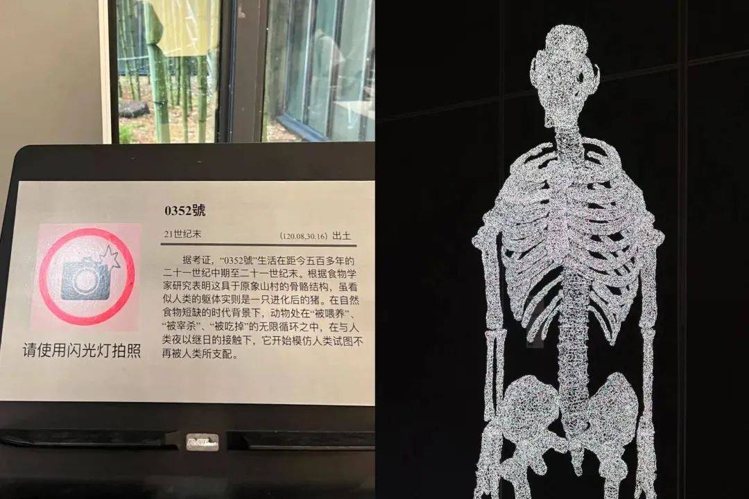 _蒙娜丽莎展览馆_蒙娜丽莎旅拍