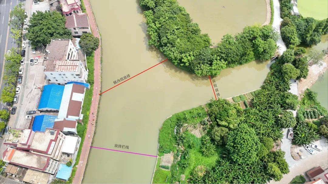 本周六,官山涌上龙舟"狂飙"!霸位趁早