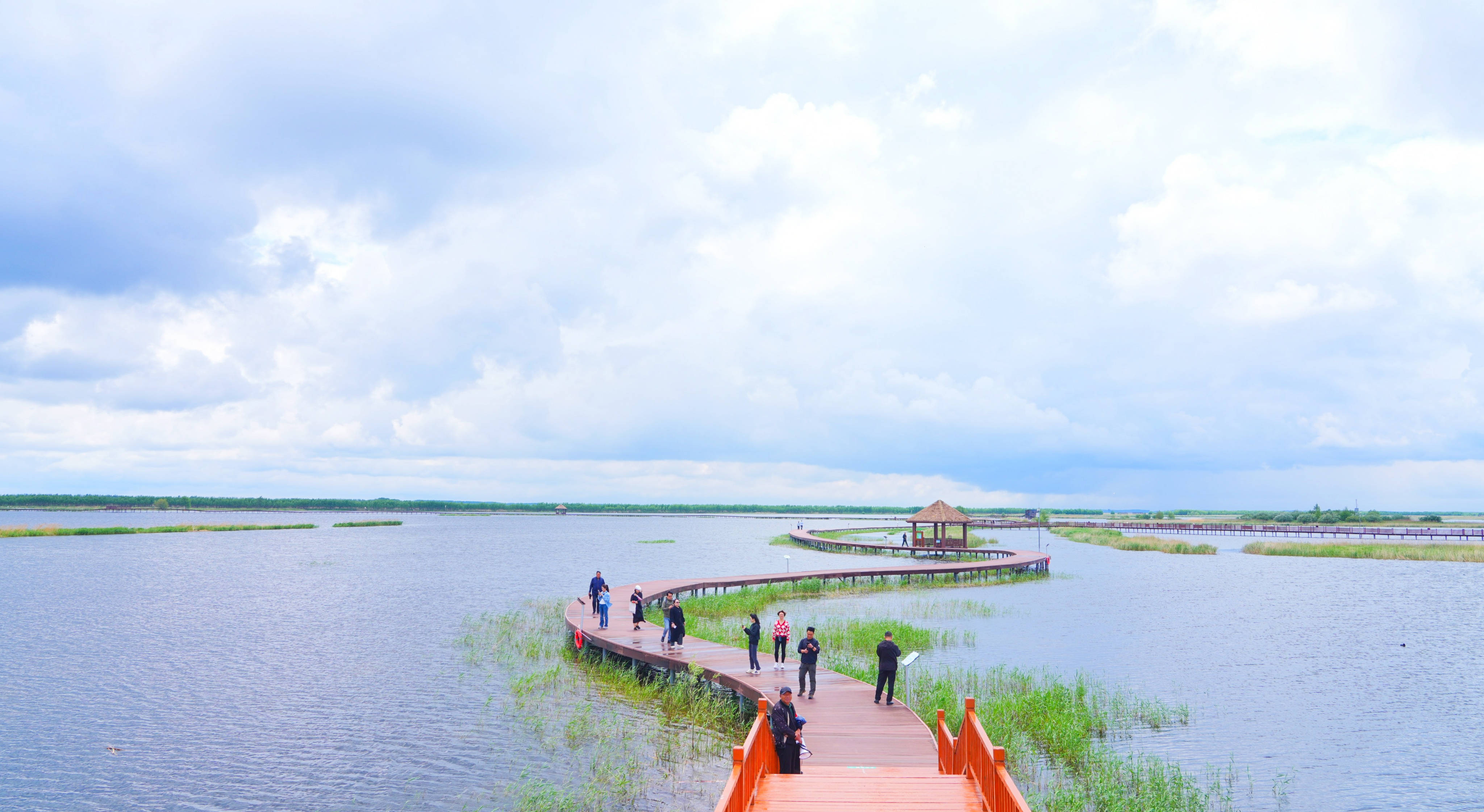 _“白枕鹤之乡”：魅力湿地美在当“夏”_“白枕鹤之乡”：魅力湿地美在当“夏”