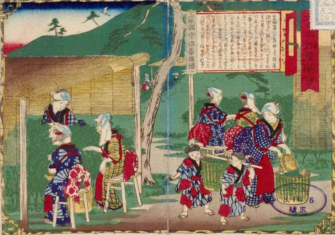 _你说它全球风靡，我说好像舔了一口凉席_你说它全球风靡，我说好像舔了一口凉席