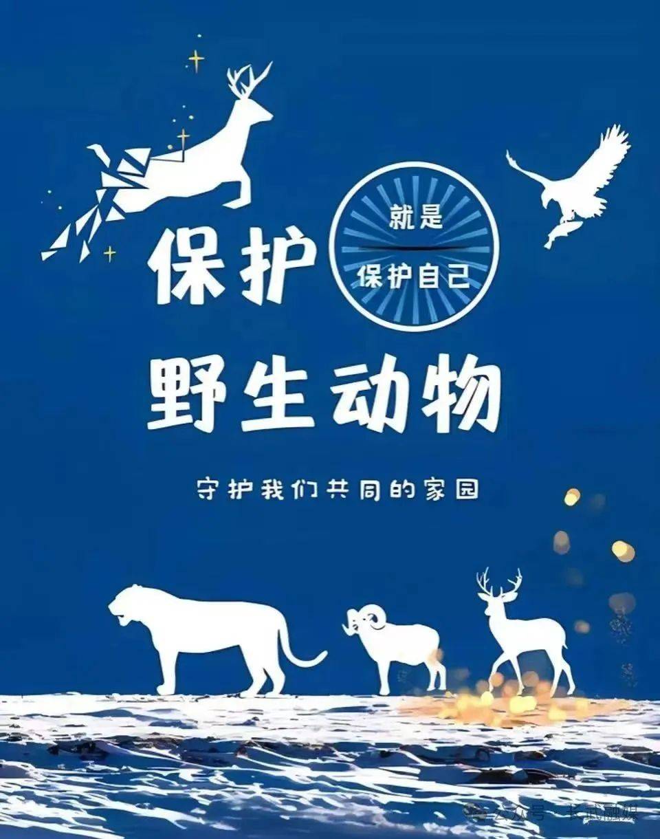 长武县野生动物保护倡议书