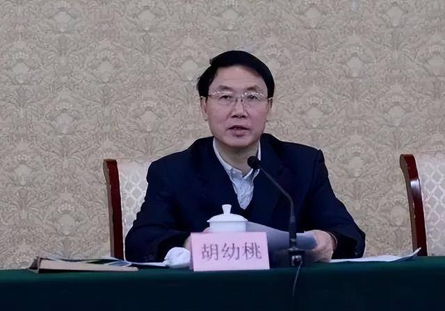 不卡日本一到二区:中央巡视即将结束，中纪委晚间打下今年第29虎！70岁胡幼桃被查