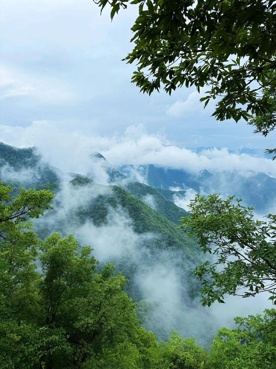 挑一个出发吧