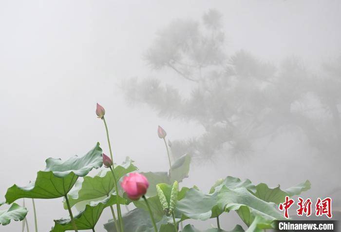 7下几何题_沛县新正路两侧范围_