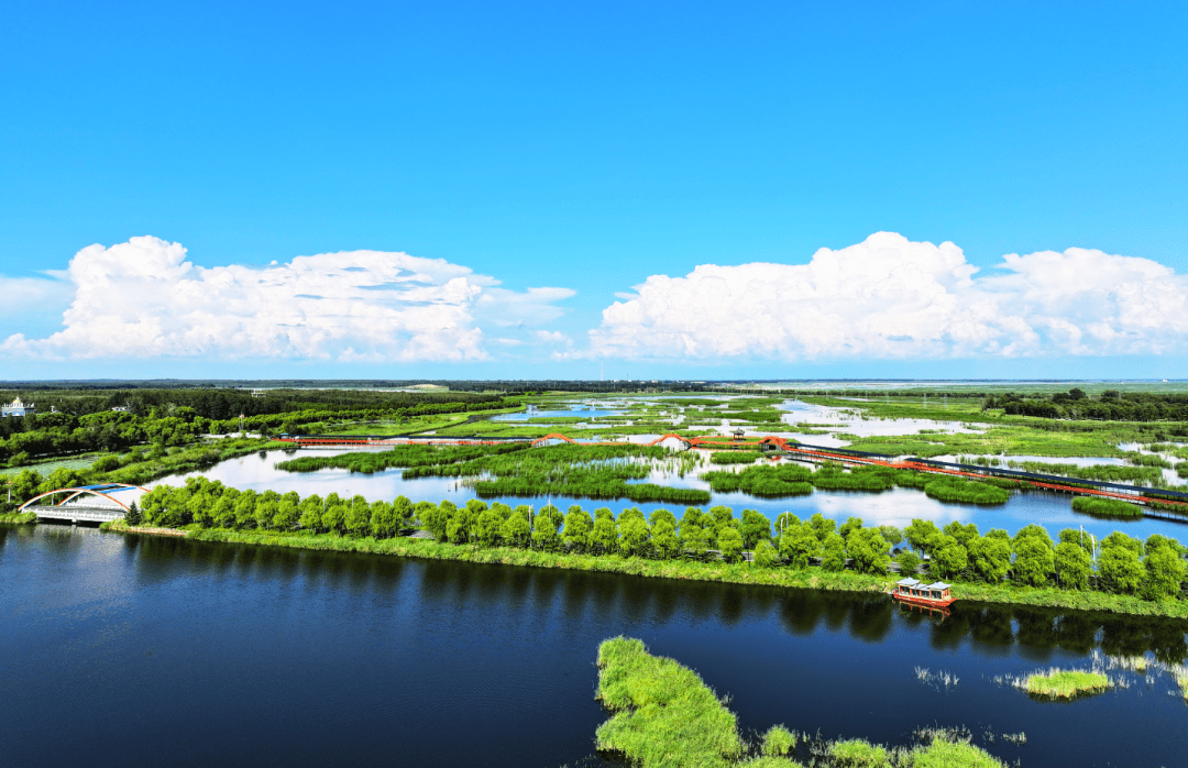 莫莫格湿地,不仅是一个地理概念,更是一个充满生机与活力的生态系统