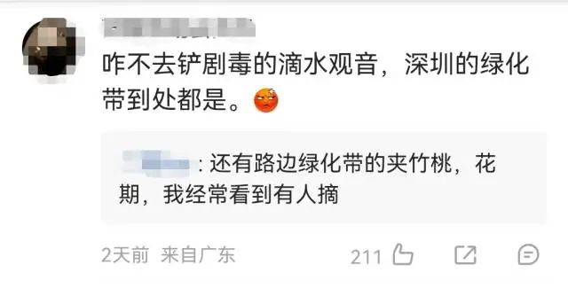 696969大但人文艺术价值:大片连根铲除！深圳一公园“火速响应”引质疑，网友为它喊冤