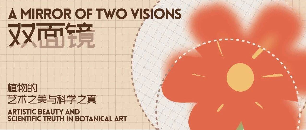 展览预告 | 双面镜——植物的艺术之美与科学之真_Visions_and_插画