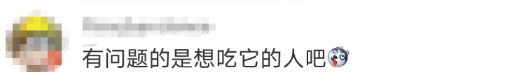 696969大但人文艺术价值:大片连根铲除！深圳一公园“火速响应”引质疑，网友为它喊冤