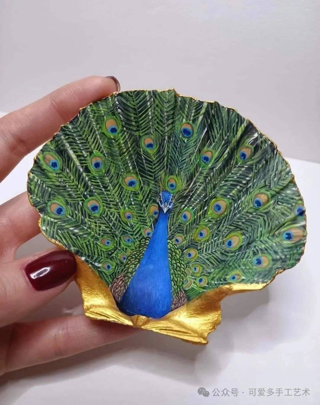 戳视频学习手绘孔雀贝壳的教程▼找找那些可以利用的贝壳,动起手来吧!