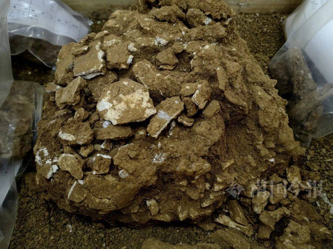 柳州发现3万年前古墓，女性墓主蜷缩长眠，牙齿万年不腐