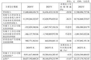 孚能科技2024年亏损收窄，加拿大籍董事长王瑀年薪涨七成至420万元