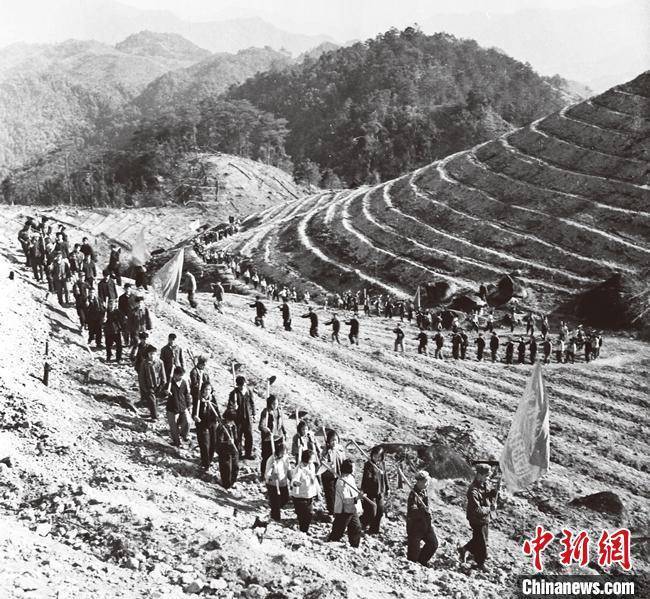 隔岸观火小说:从荒山到林海 广东续写“岳山造林”绿美新篇章