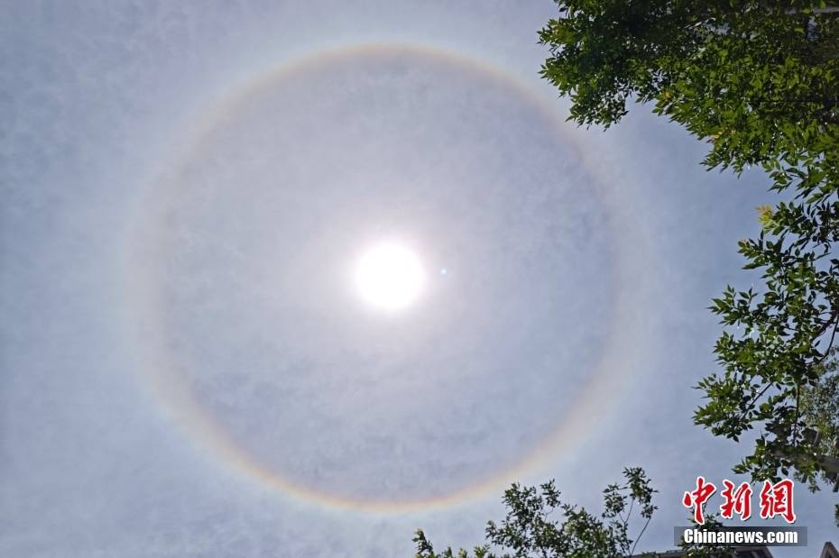 溺宠娇宝贝:上海天空现巨大日晕 光圈完整清晰