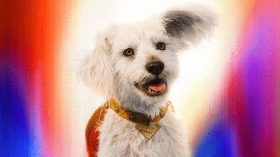 超度狗灵魂的简单介绍