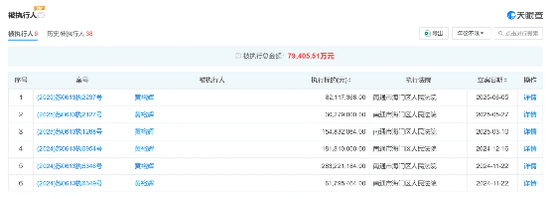 精艺股份董事长“老赖”身份被扒:历史被执行金额近8亿元(图3)