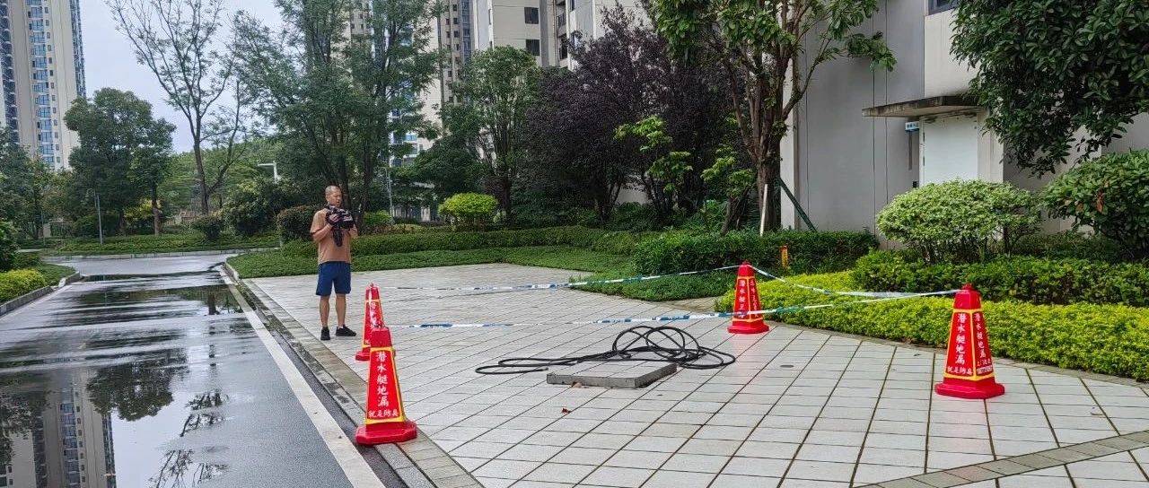柳州一小区新选的物业进不了场 业委会被告!碧桂园物业:我不走!_业主_服务_招标