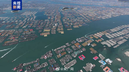 福建要求渔船按时撤离回港
