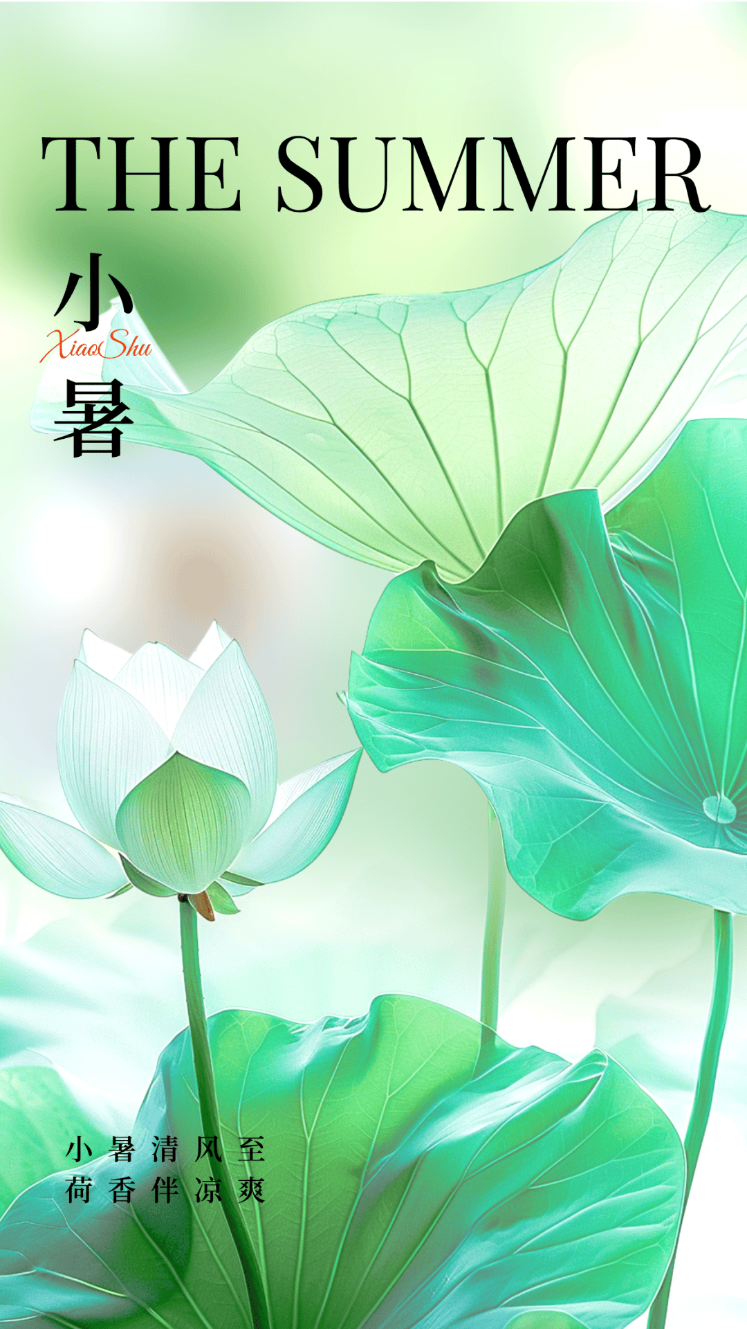 小暑,问候!