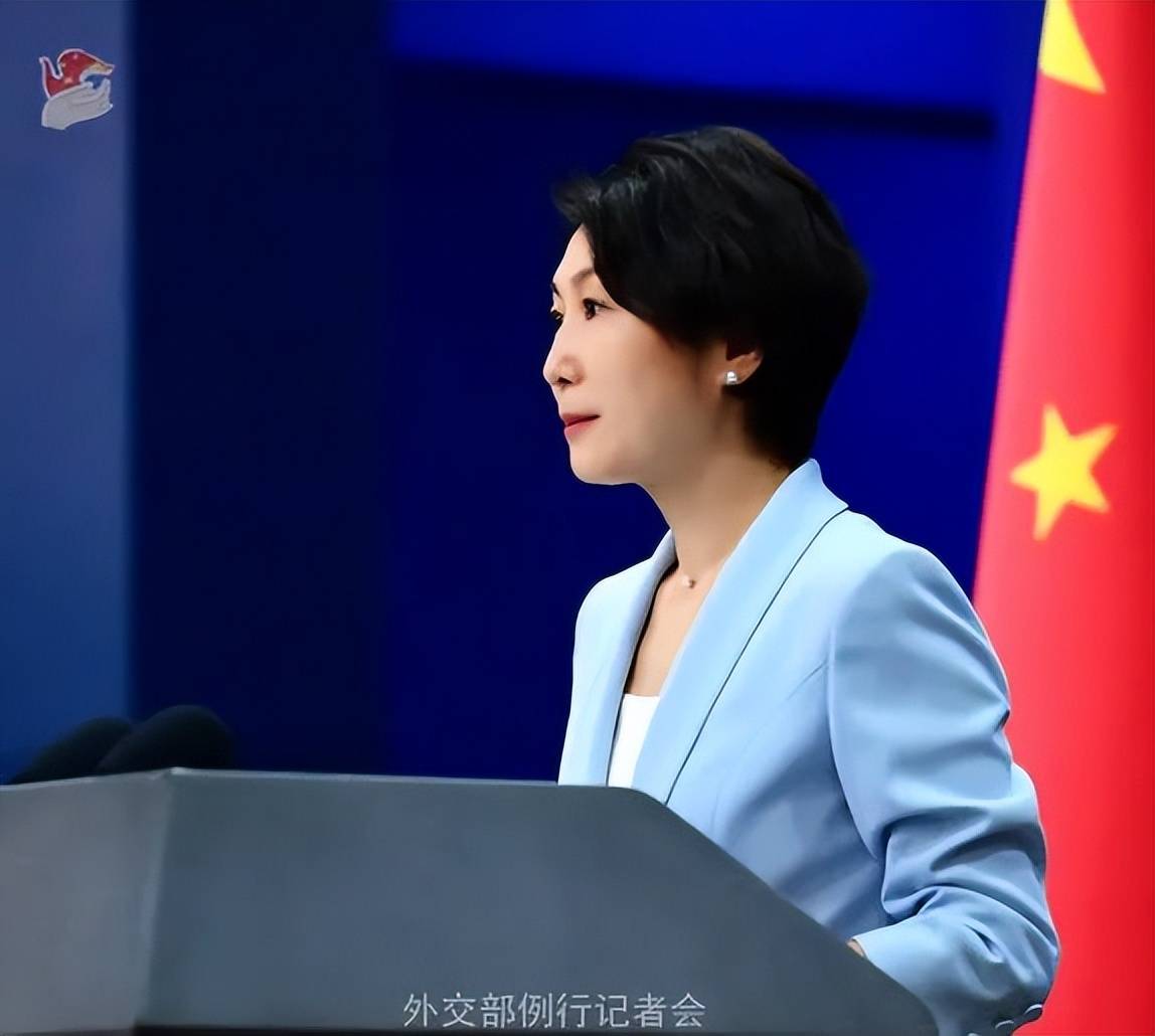 中国使馆散布对阵风战斗机性能的质疑？外交部回应