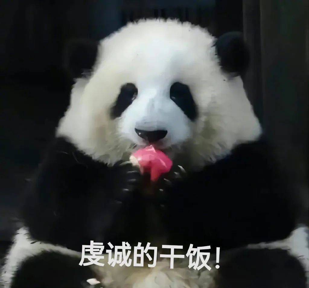 大熊猫花花表情包