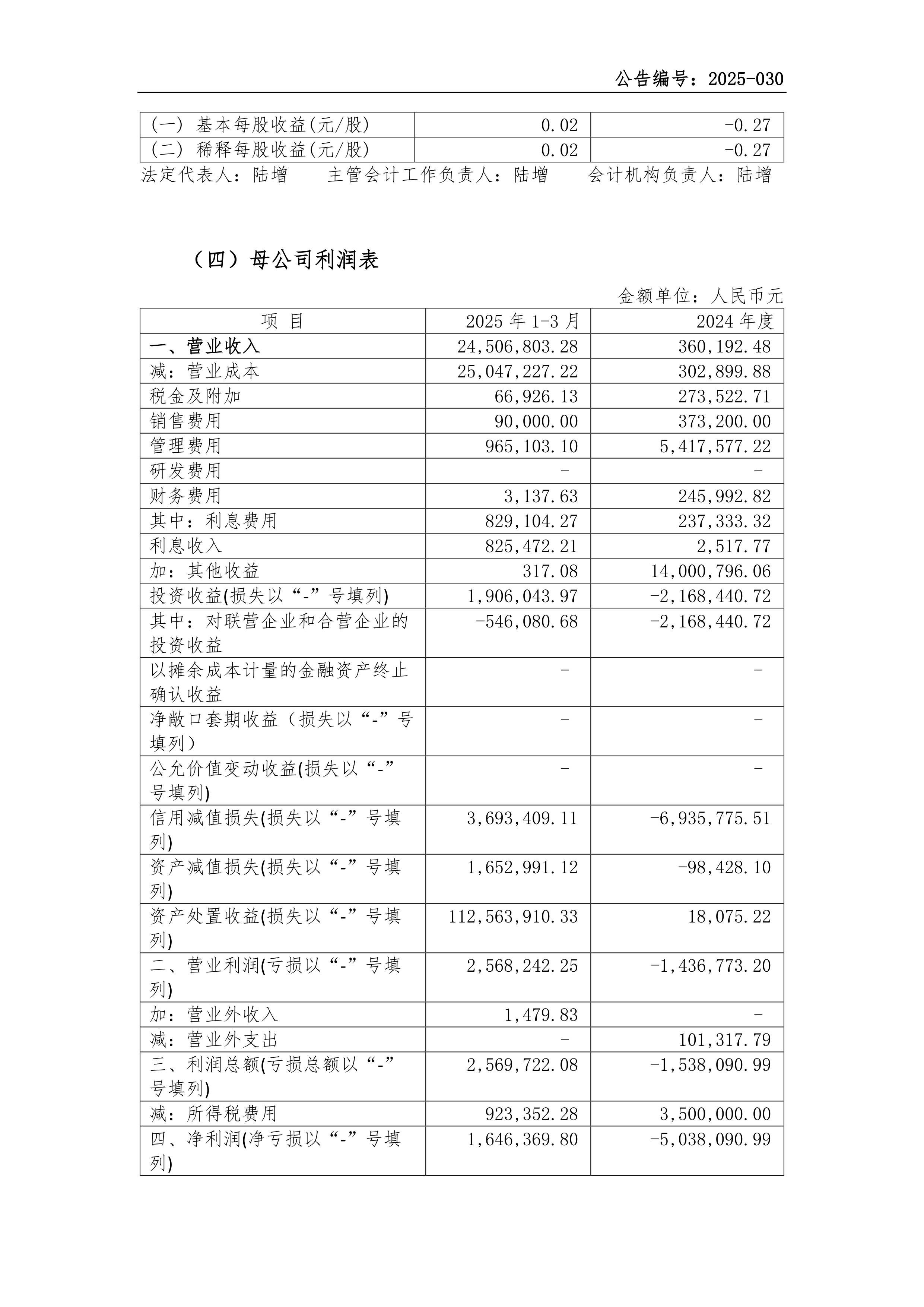 港股-新之科技-2025年第一季度财务报表