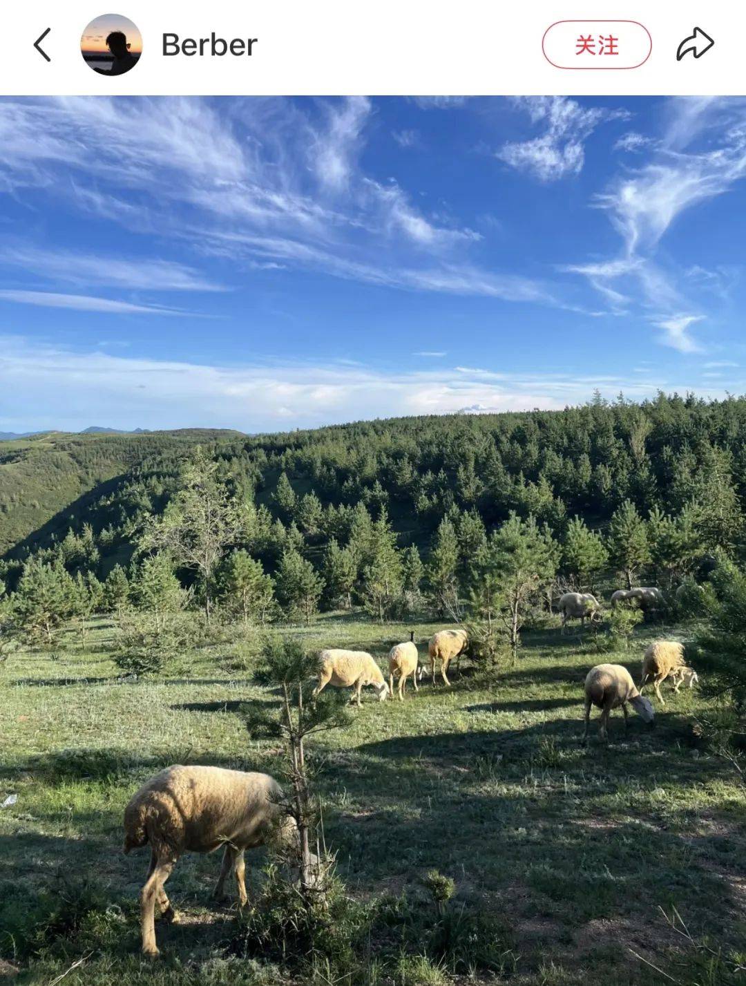 北京周边8大草原!总有一个你喜欢的