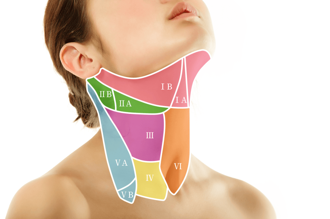 当花样年华遭遇颈部健康的残酷抉择