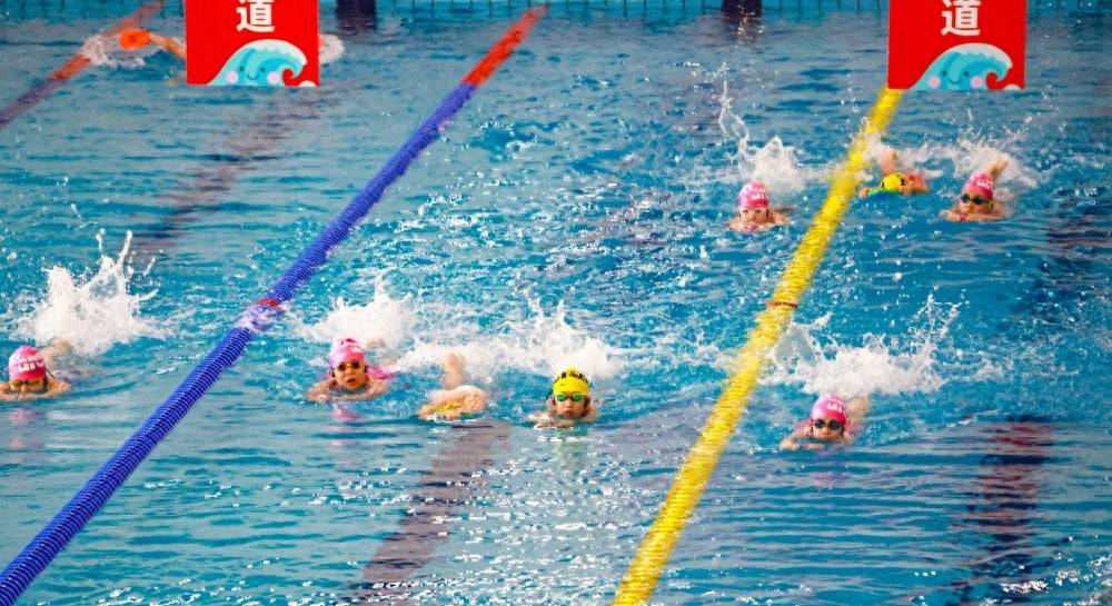 郑州体育公园游泳馆：夏日清凉与健康运动的首选地