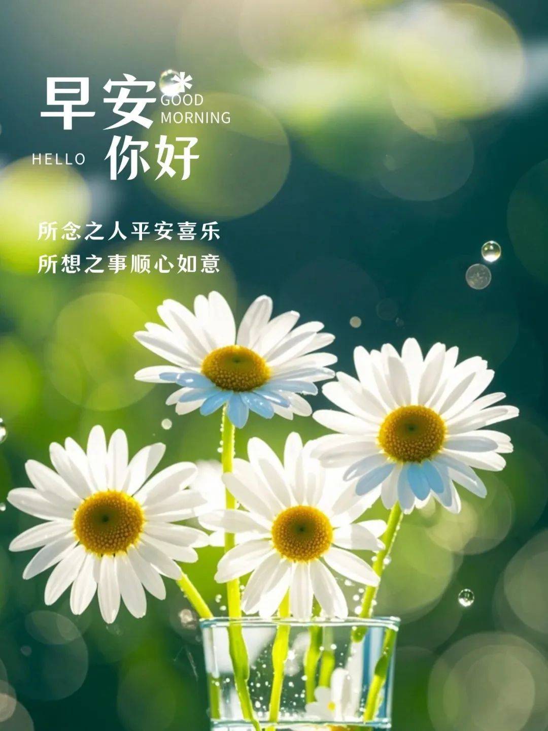 "销冠早晨发圈的干净句子,满满正能量,太招财了,激活潜在客户下单～"